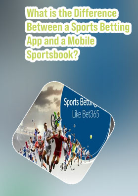 Best online sports betting app usa
